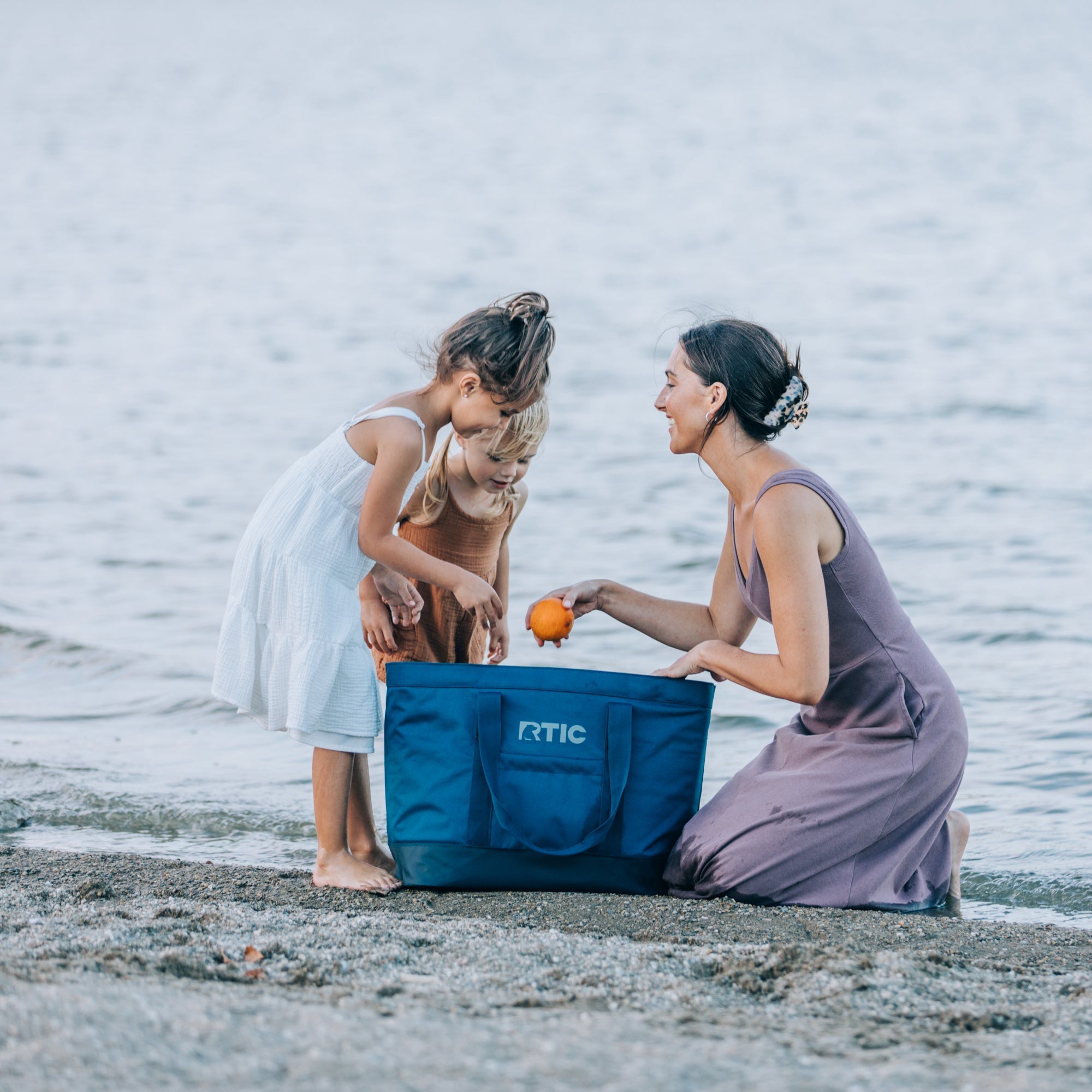Everyday Insulated Tote Bag